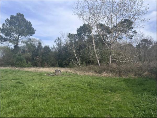 Terrain à vendre |  Étauliers |  1400 m²