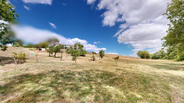 A 20 minutes de Carcassonne, proche MONTREAL, Propriété avec 3 hectares.