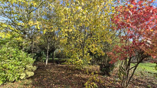 La Chapelle-Gonaguet (24350) Maison spacieuse d'environ 167 m² habitable avec grand terrain à vendre secteur TOCANE- CHAPELLE COGNAGUET-