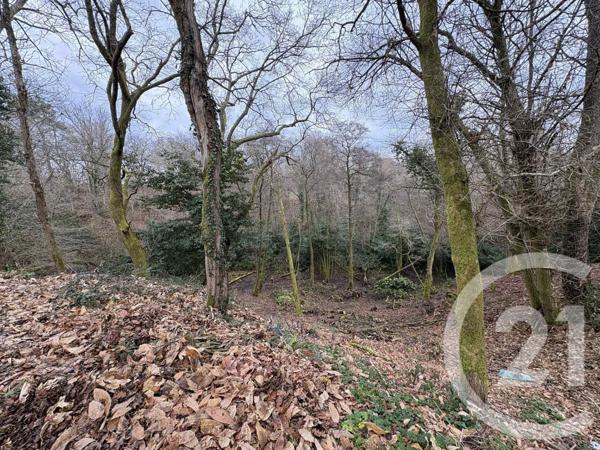 Maison à vendre  6 pièces - 201,90 m2 MONTFORT EN CHALOSSE - 40