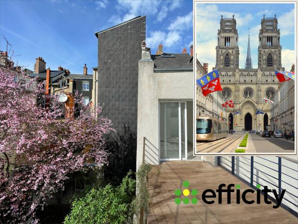 Appartement 3 pièces - 76 m² Exclusivité efficity