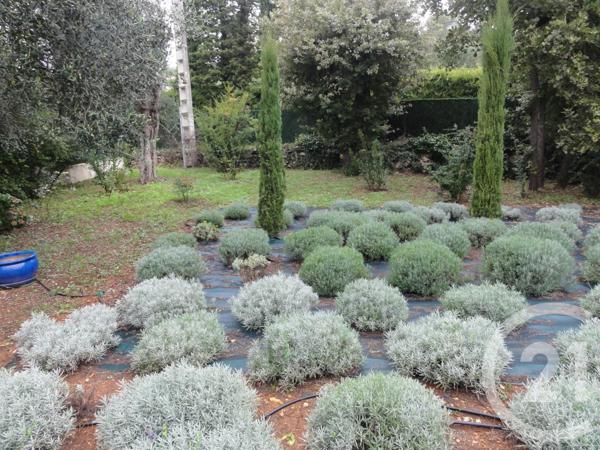 Maison à vendre  4 pièces - 134,40 m2 ROQUEFORT LES PINS - 06