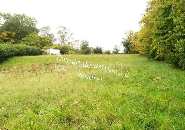 A vendre terrain constructible de 4019m2 libre de tout constructeur à quelques kilomètres d' Auneuil, village avec toutes les commodités.