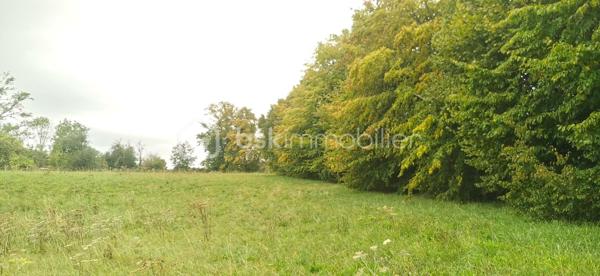A vendre terrain constructible de 4019m2 libre de tout constructeur à quelques kilomètres d' Auneuil, village avec toutes les commodités.