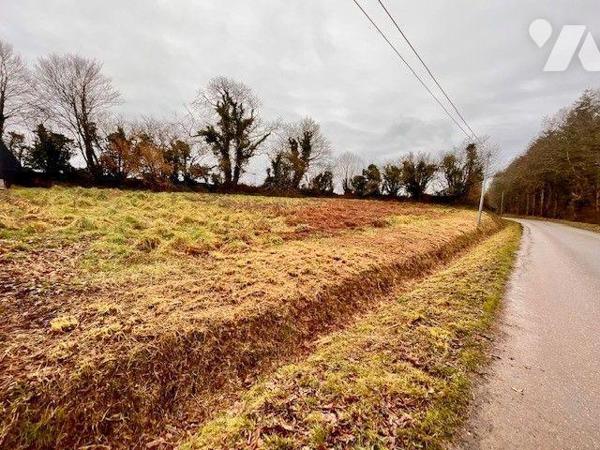Proche du bourg de LANGOLEN, ce terrain constructible de 1545m² non viabilisé va vous séduire.