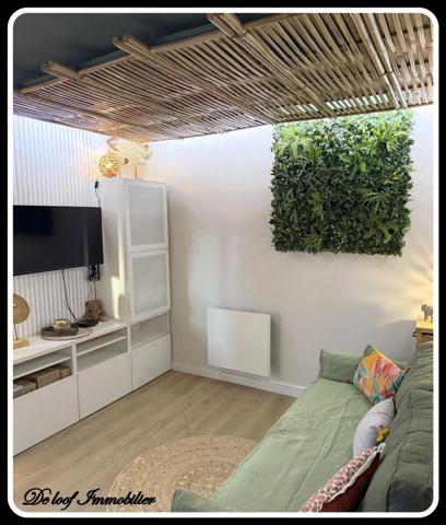 Appartement à louer 1 pièces LE CAP D'AGDE (34)