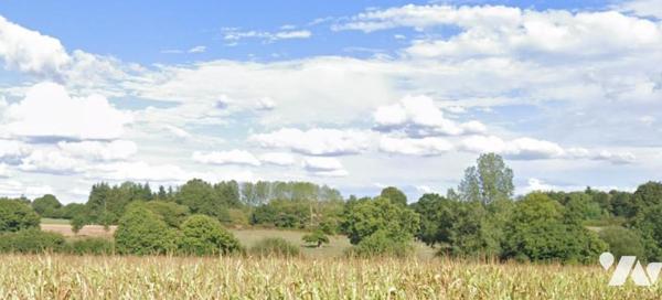 Terre agricole vendue louée