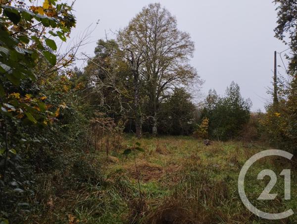 Terrain à vendre  1178 m2 CELLETTES - 41