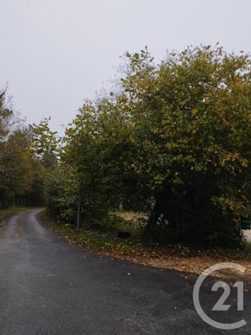 Terrain à vendre  1178 m2 CELLETTES - 41