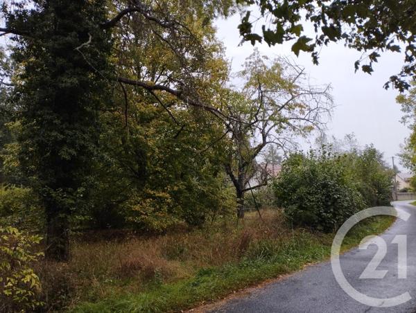 Terrain à vendre  1178 m2 CELLETTES - 41