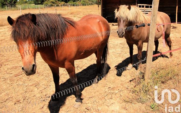 Maison à vendre 18 pièces 370 m² L'Isle-sur-la-Sorgue