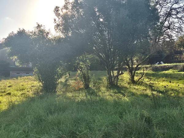 Terrain à vendre de 650,00 m² CASSAGNOLES (30)