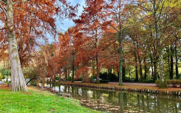 Appartement à vendre    3 pièces • 63,15 m2 La Ferté-Saint-Aubin