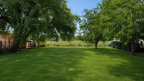 Maison de plain-pied à Louhans ? Beau terrain de plus de 1000 m² et dépendance