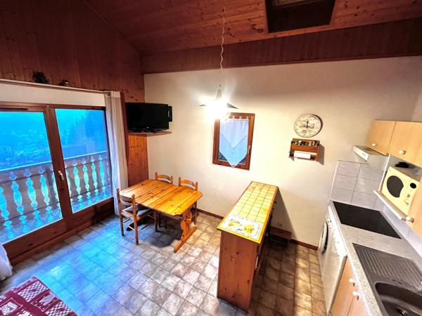 Appartement 3 pièces de 44M2 utile (35m2 carrez) OFFRANT une VUE DEGAGEE  avec GARAGE, place de PARKING PRIVATIVE et CAVE