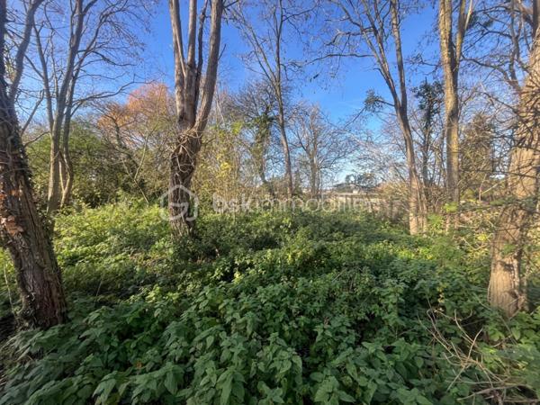 Lotissement de 3 094 m²