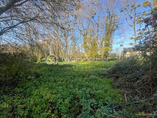 Lotissement de 3 094 m²