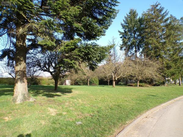 Terrain à Batir à vendre à Thelonne dans les Ardennes (08350), ref : 4091T