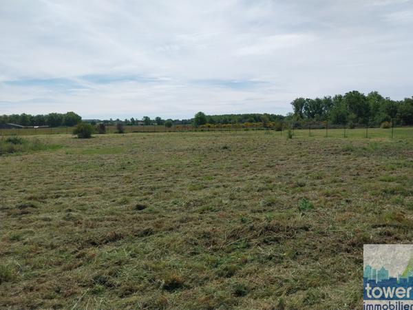 terrain de 1881m² viabilisé, au calme