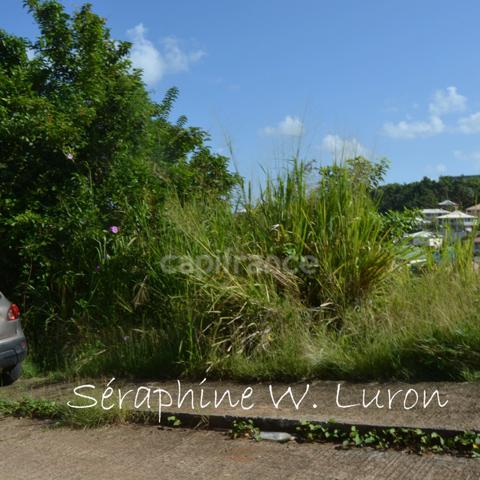 Dépt 972 Terrain à bâtir - 1984,00 m² LA TRINITE - 230 000 €