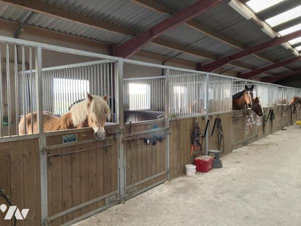 ARRAS - PROPRIETE EQUESTRE  