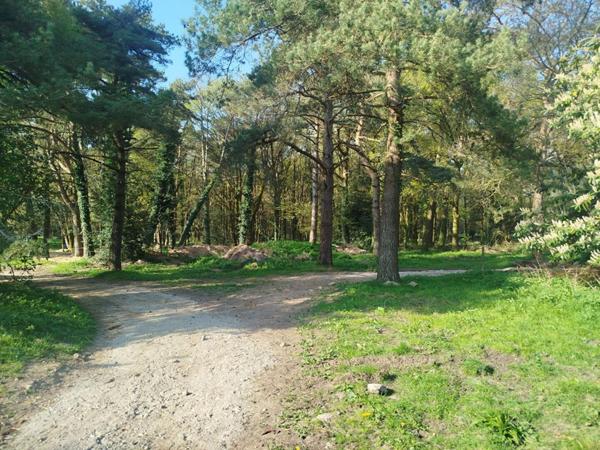 Centre Bretagne - CENTRE EQUESTRE