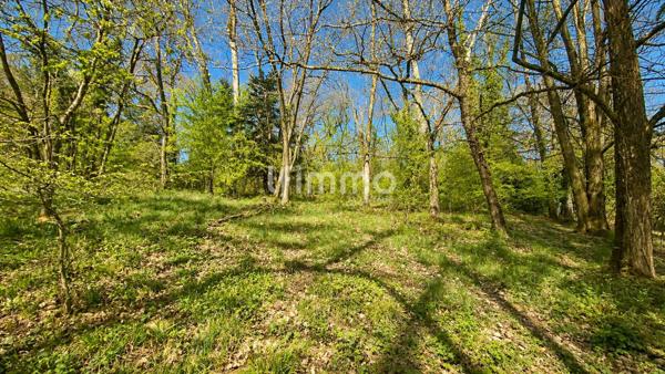Maison sur terrain de 27 ares avec source