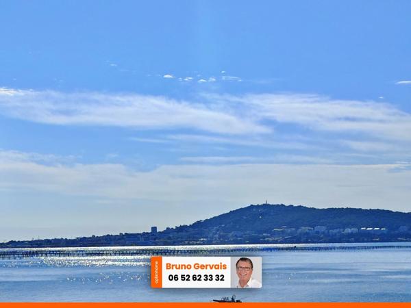 Appartement à vendre 2 pièces avec terrasse sur étang et parkings sécurisés à MEZE (34)