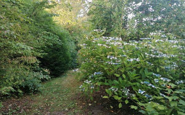 Maison à vendre    6 pièces •  Saint-Geours-de-Maremne