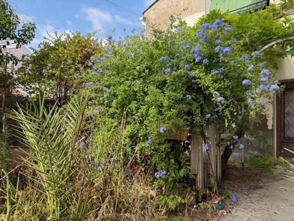PROJET DE RÉNOVATION – MAISON DE MAÎTRE + SECONDE MAISON AVEC TERRASSE TROPÉZIENNE