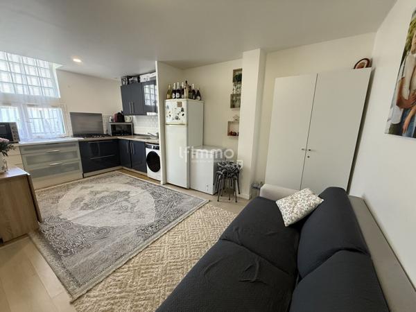 Au centre du Vert Galant