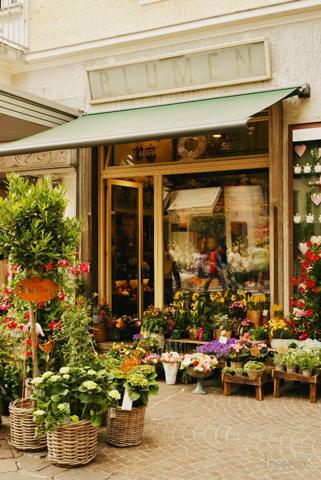 Fleuriste à PARIS 17EME ARRONDISSEMENT (75017)