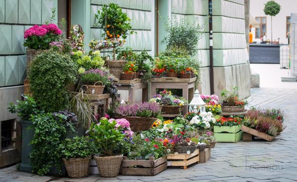 Fleuriste à PARIS 17EME ARRONDISSEMENT (75017)