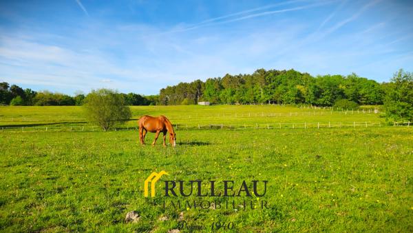 Propriété en pierre du XIXe siècle – Domaine de 11 hectares avec étang et piscine Détails des diagnostics énergétiques