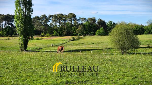 Propriété en pierre du XIXe siècle – Domaine de 11 hectares avec étang et piscine Détails des diagnostics énergétiques