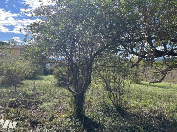 LACHAPELLE SOUS AUBENAS, TERRAIN NON VIABILISE 