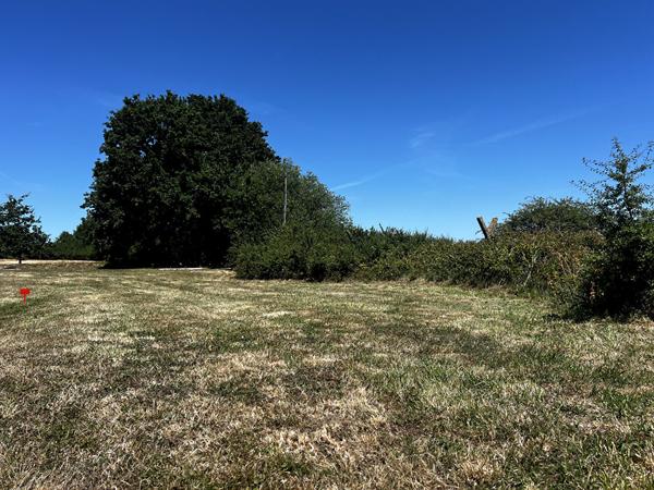 Terrain à vendre à Saint Gildas de Rhuys - 1km de la plage