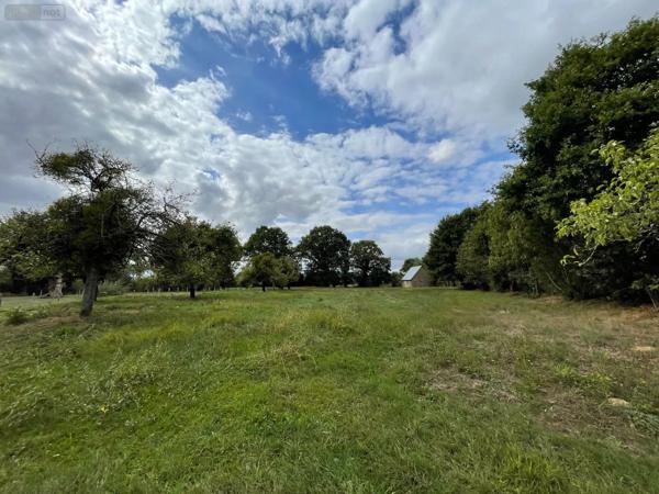 Achat - Maison | Maison rurale Montautour 35210 5 pièces 103 m 2 4344 m 2
