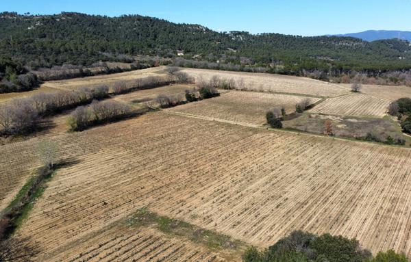 VIGNOBLE COTEAUX D'AIX EN PROVENCE