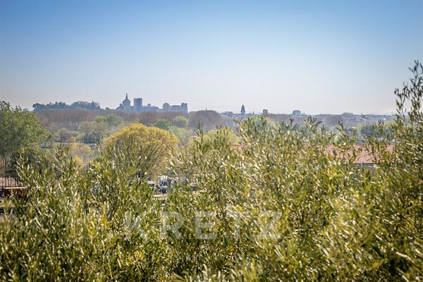 Propriété historique avec vue Palais des Papes
