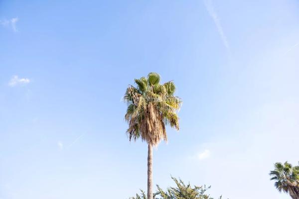 Vente Villa 8 pièces 378 m2 à Roquebrune-Cap-Martin