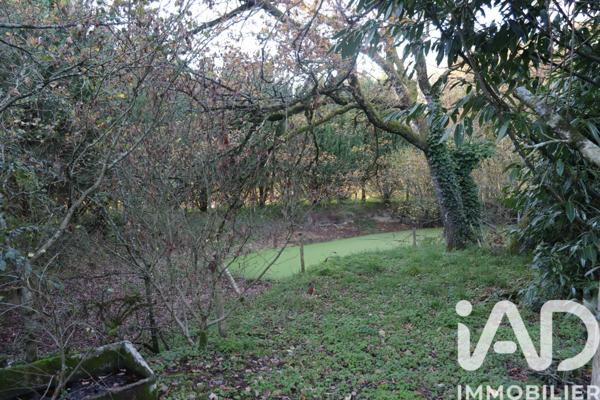 Maison à vendre 12 pièces 230 m² Clessé