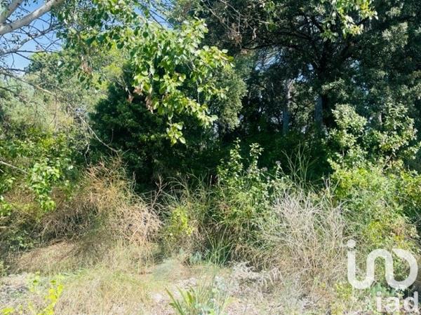Terrain à vendre 1 251 m² Bollène