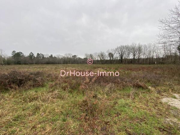 Terrain à vendre de 31 700 m²