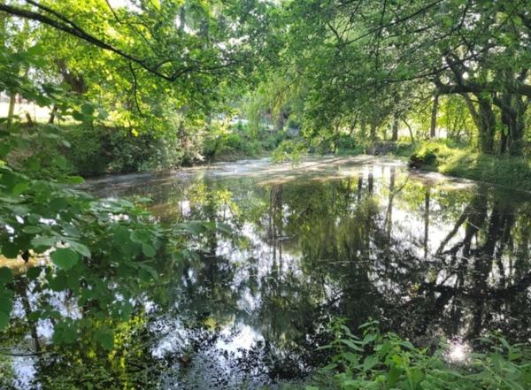 Magnifique gît de 175 M