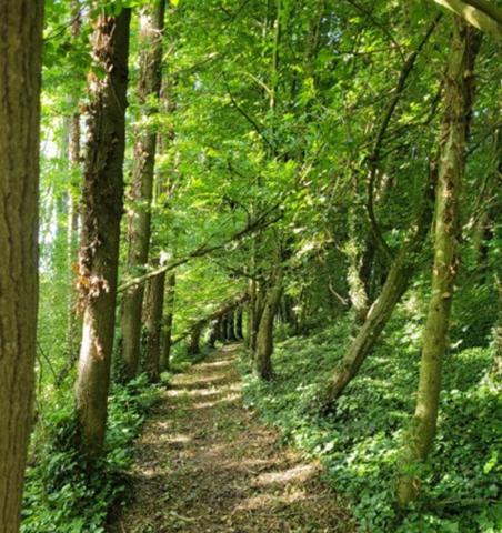 Magnifique gît de 175 M