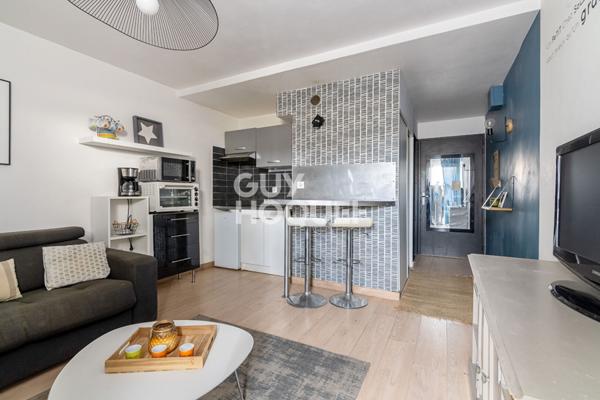 Studio meublé avec terrasse. Toulouse secteur Saint-Michel / Conseil régional