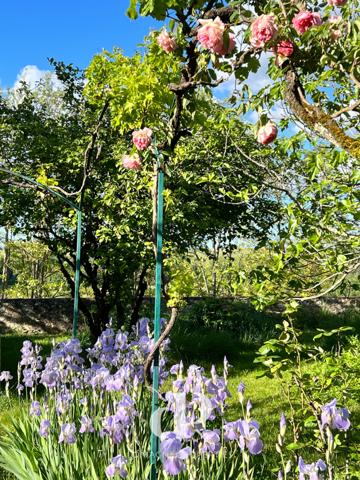 Lectoure (32700) Maison de ville à Lectoure avec jardin et vue