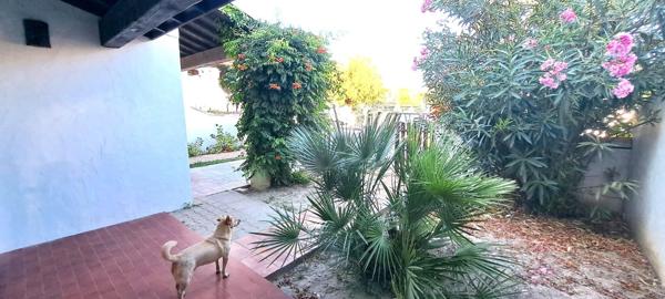 Vente / Ensemble de 2 maisons