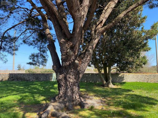 Maison à vendre à Beauvoir-sur-Mer en Vendée (85230), ref : 092/M/2420-85092